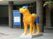 Gran-Canaria 2007