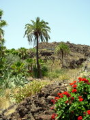 Gran-Canaria 2007