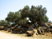 Sizilien-2009