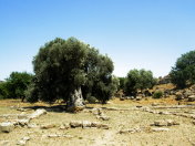 Sizilien-2009