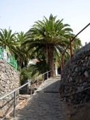 Teneriffa-2010