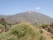 Teneriffa-2010