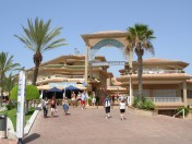 Teneriffa-2010