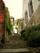 Wachau