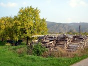 Wachau