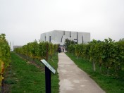 Wachau