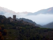 Wachau